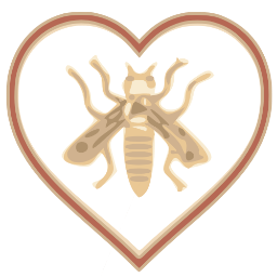 55th Infantry Division