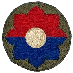 Ingame Shoulder Patch
