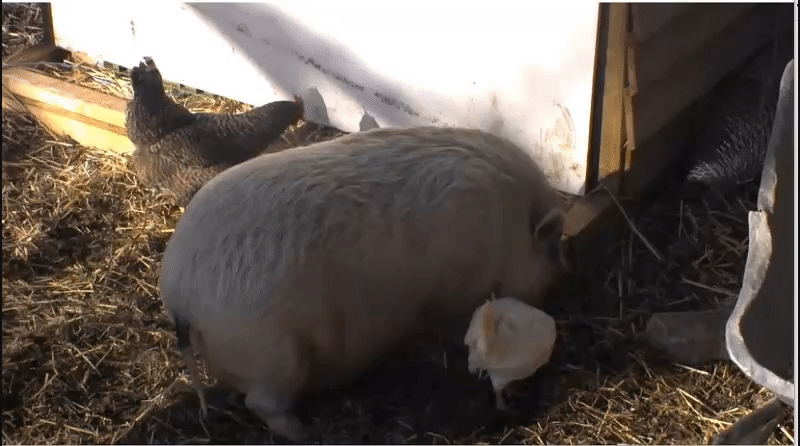 0118e65cc7fb9ede9946524f8e3adcc2.gif