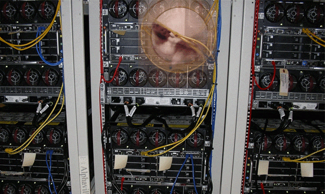 01272448ce8a38b1123b4d89fa4e4206.gif