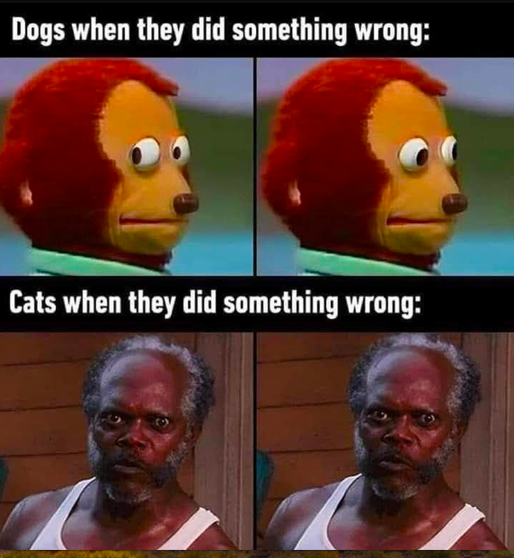 016cbbc2ae349a13333e249065340cca.png