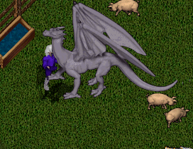 01b4dd1faa5a842a6b09c3225ac0669b.png