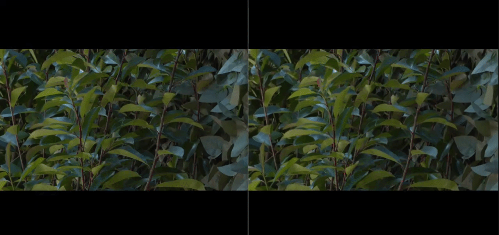 01c631aef6d634b425873b83c5f3dd94.gif