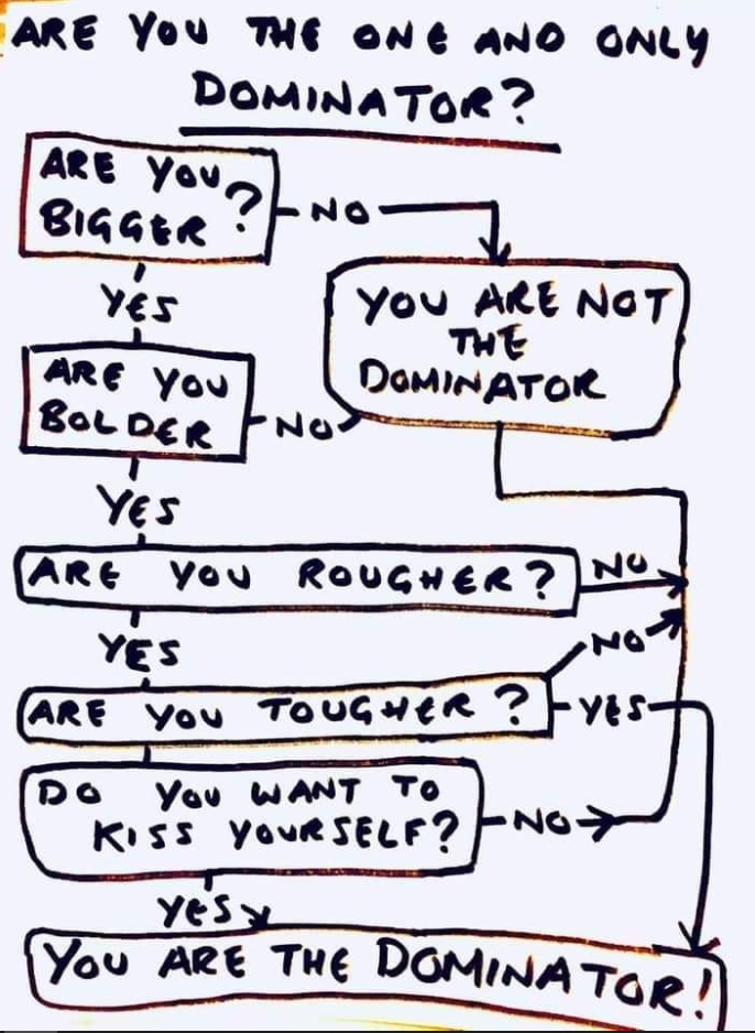01e213ae1e5e45d1b27adf459465a5ec.png
