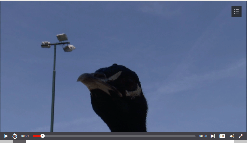 026370784896c530b61966d99ebacb27.gif