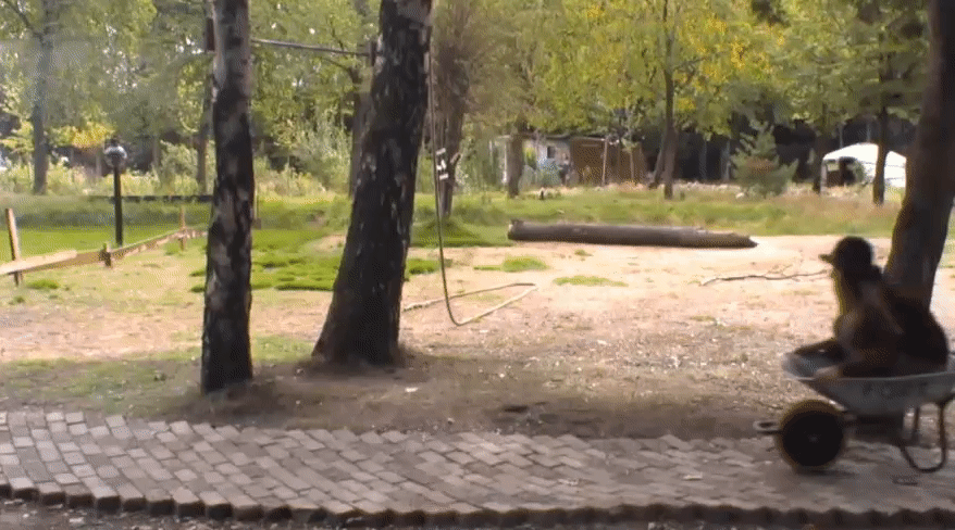 02b94d23662033e3117cf60dcb8ba716.gif