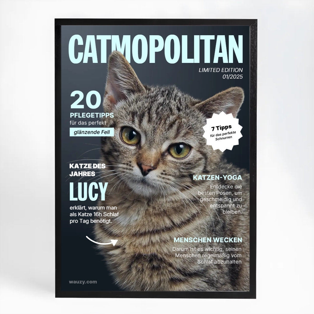 Poster mit Katze