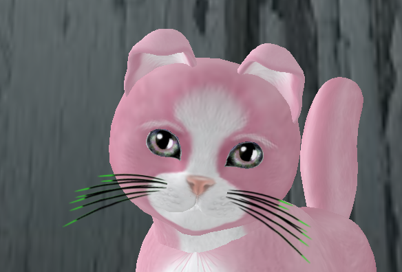 [Image: 0384bcf2cbf7ad0dbfd107dd4d46fc8b.png]