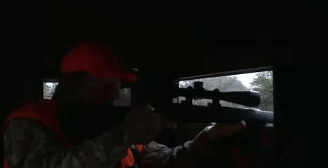 039145fc862d20c2dfb842861504913c.gif