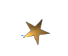 04431fadc6fda916a4d00c4cd015d921.png