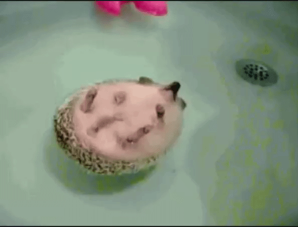 048a90577350f9c9cc469552567843a9.gif