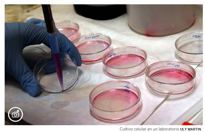 EEUU aprueba su primera terapia génica contra el cáncer 05187a3a6cd37d262185847714edd249