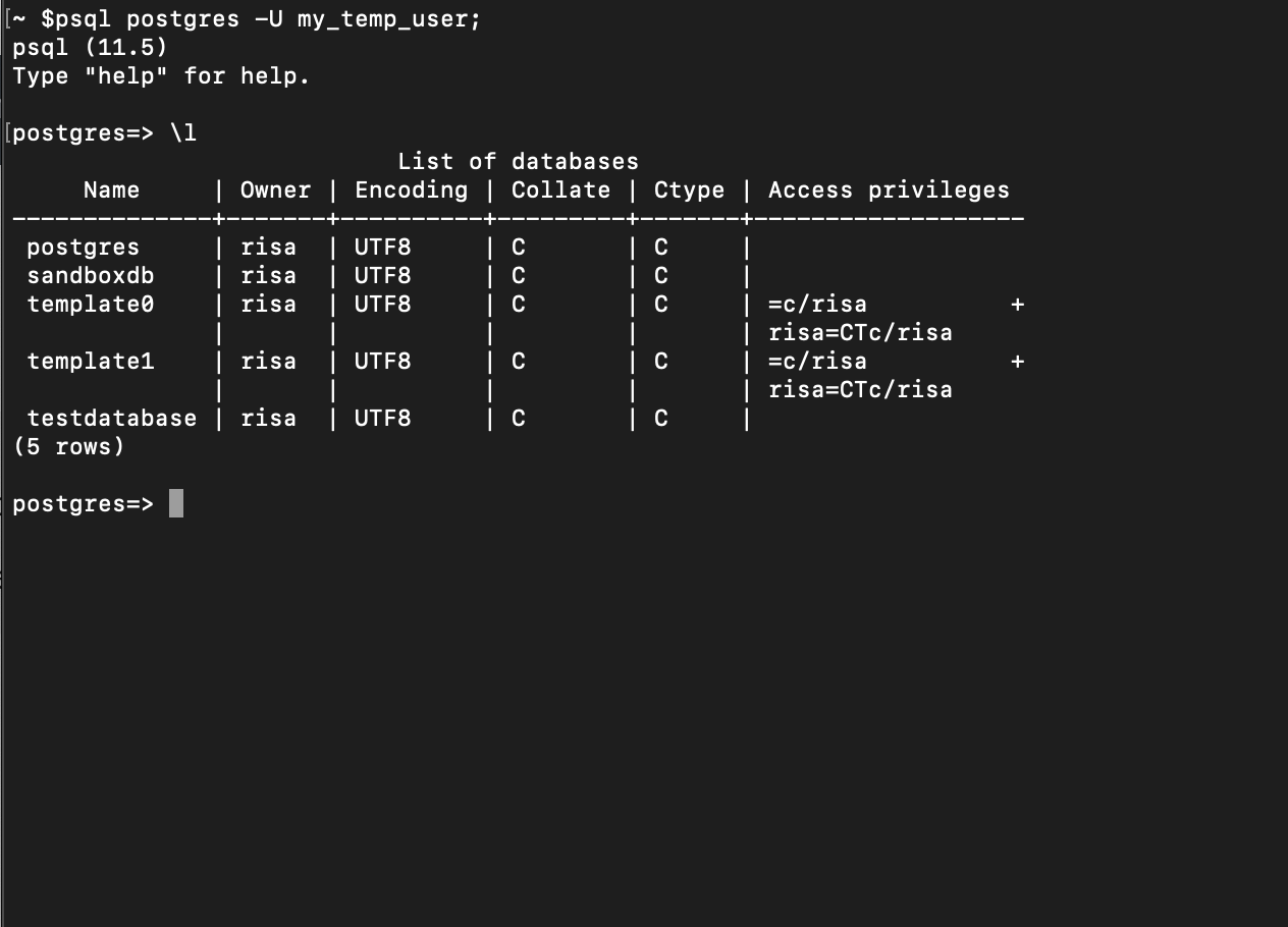 list of database within the PostgreSQL server using the `\l` meta-command