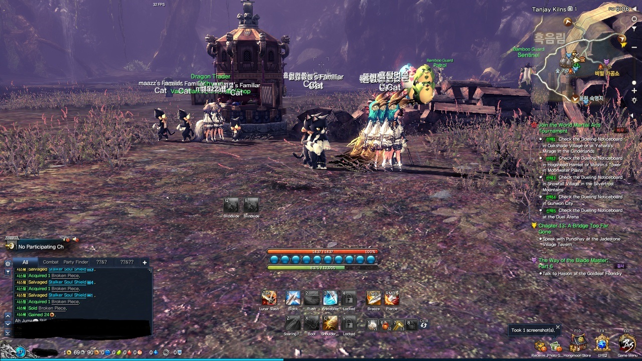 blade and soul over run with bots