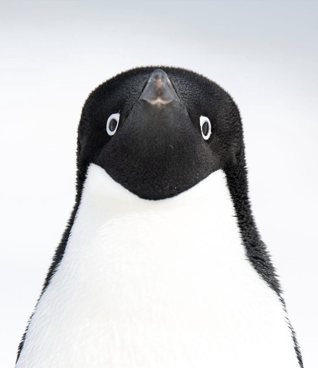 06a42ea02cdcbd7fa6d3066529f7869b.png
