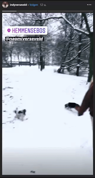 072a309749e8c2b91e1ea15ba3dafa28.gif