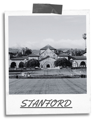 08083709b31267e9afb81eb3d39b3f54.png