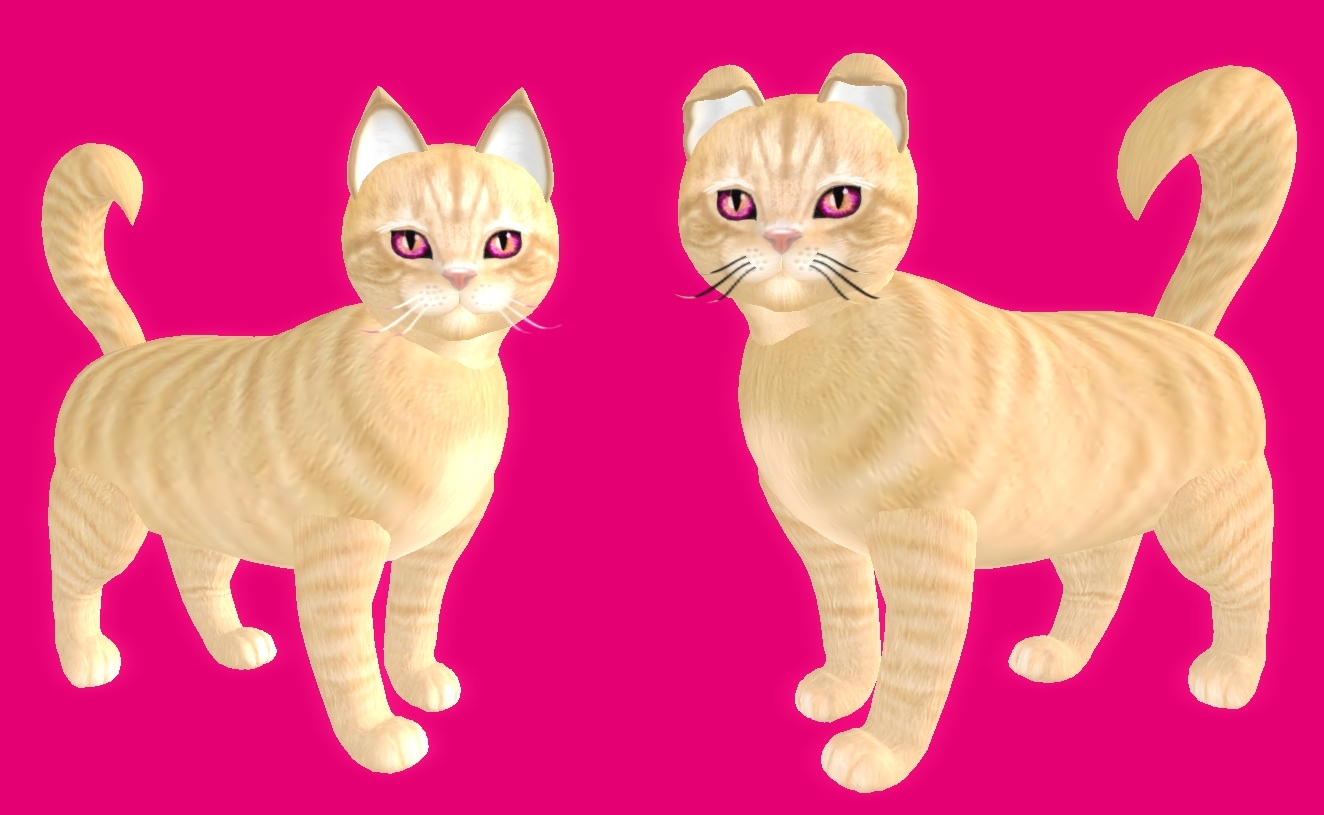 [Image: 0839246e57f294e1fcdaf2672a93fc8c.jpg]