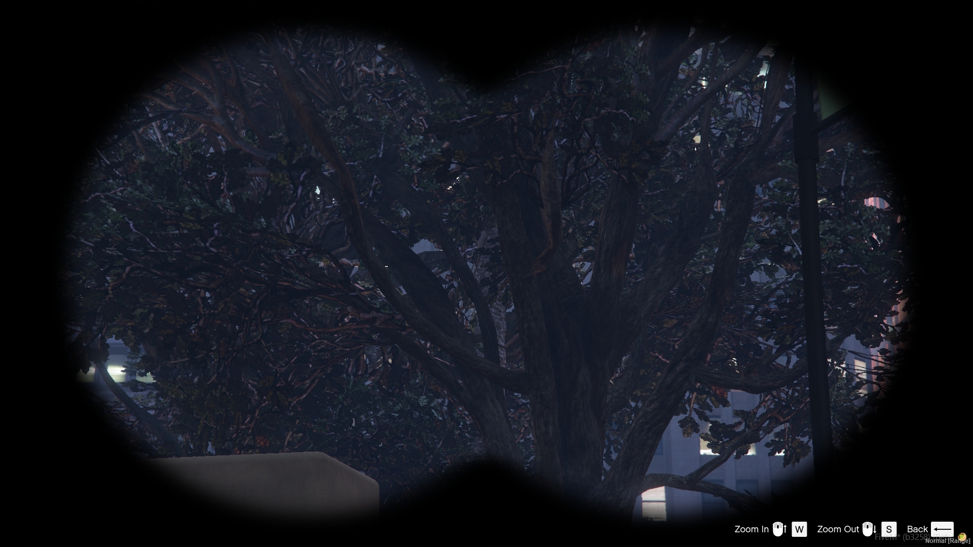 Enhanced Binocular