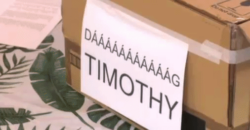 0960814a89d68777440b0d1e98b76582.gif