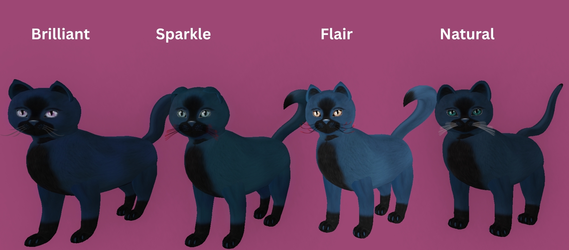 [Image: 0982ec3caa25ab20ac3e6c176b7d9066.jpg]