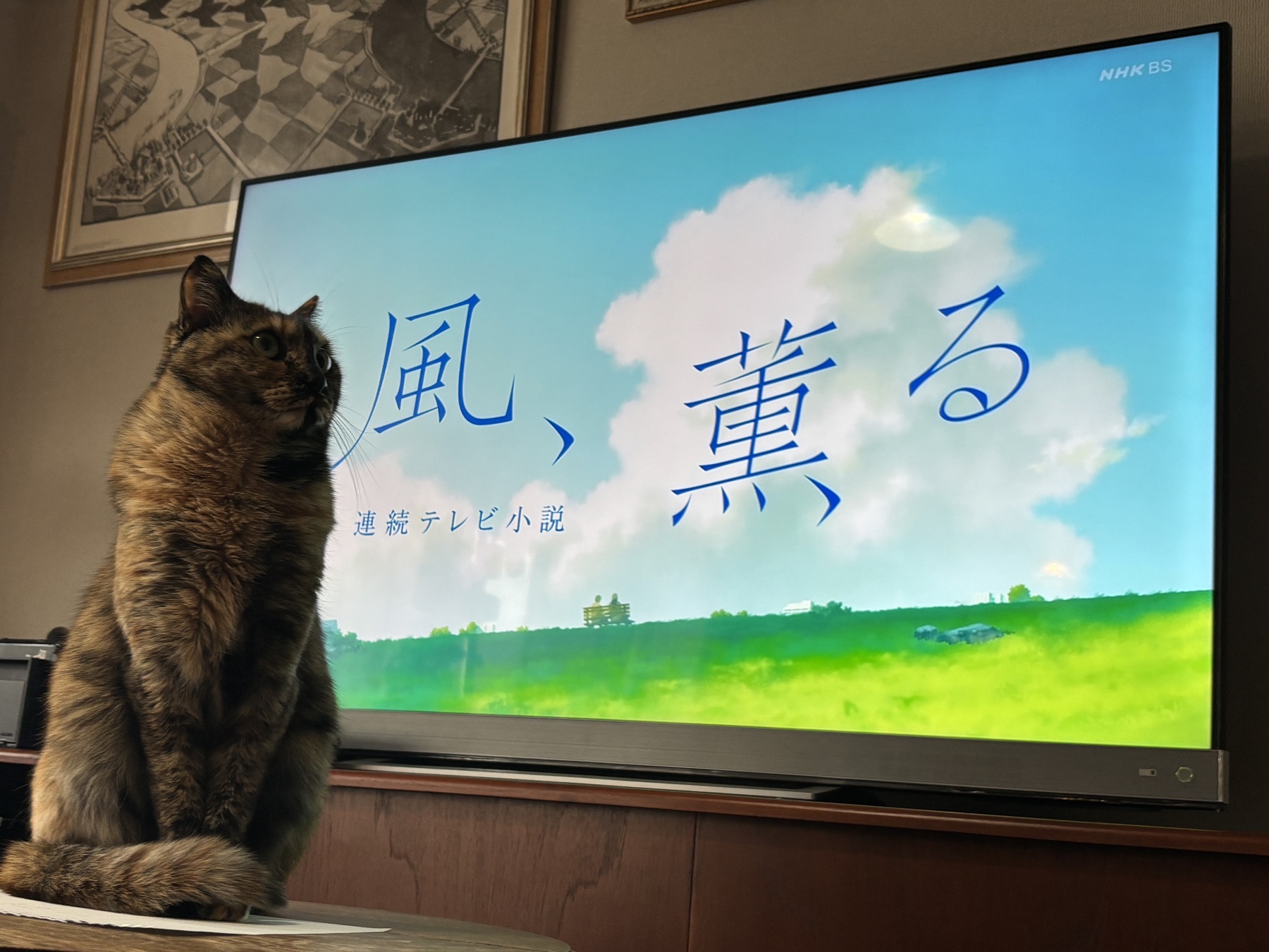 20260404 クッキー大成功