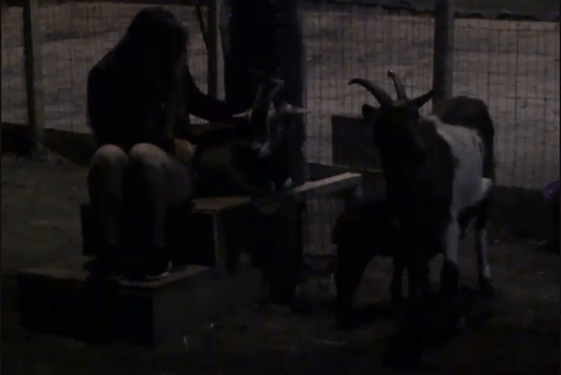 09c536ae484be6addff46e4844ec8da1.gif