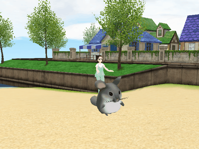 Image from Gyazo