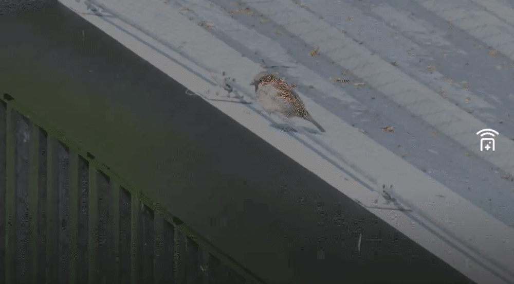 0a250acd6f949086306dd2225fe790fe.gif