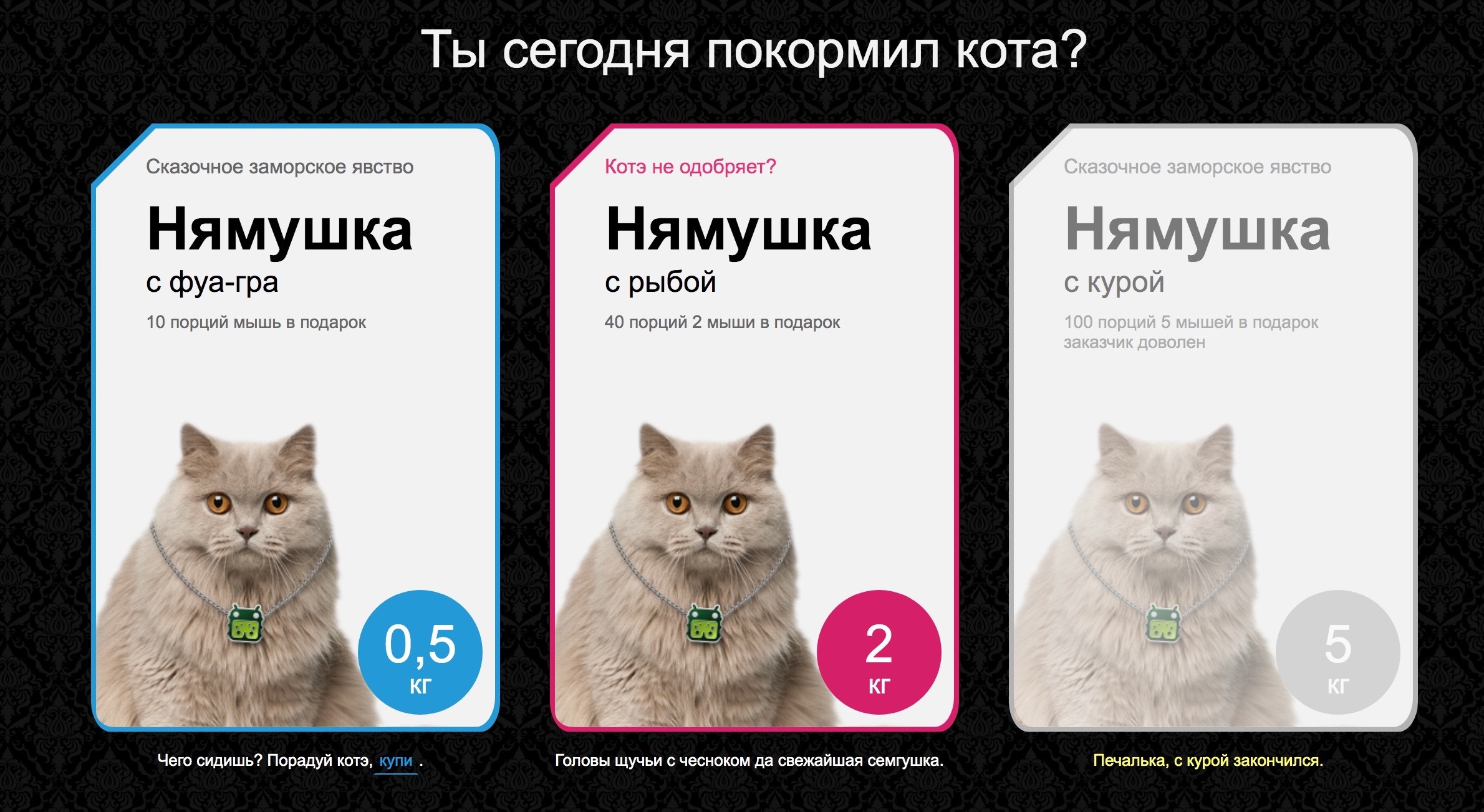 Cat food shop picture