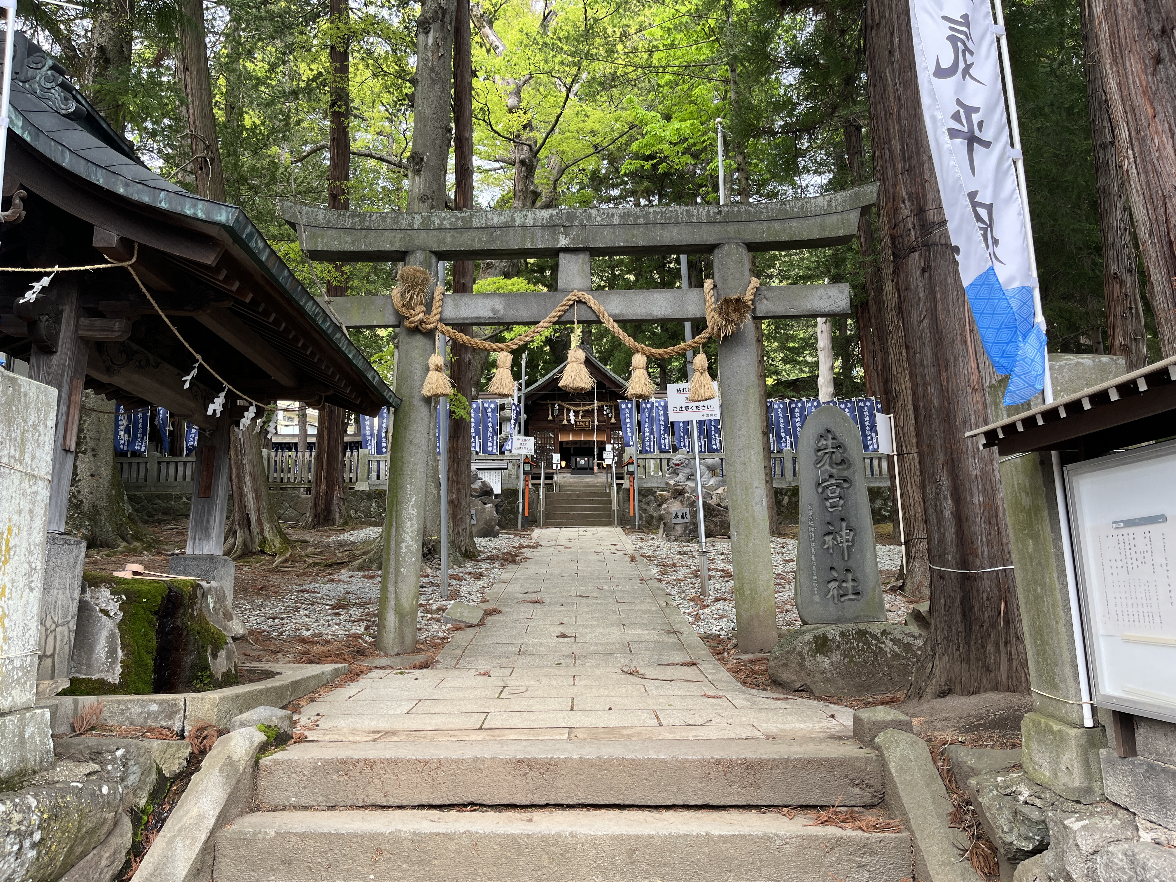 正面