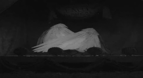 0c8435f590c2e13fa8694b76d067eb26.gif