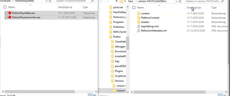 Roblox Player Folder