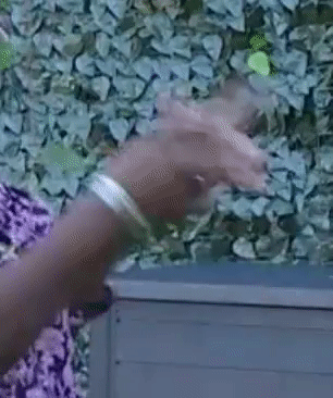 0d36c34b657abb065b366242d471444b.gif