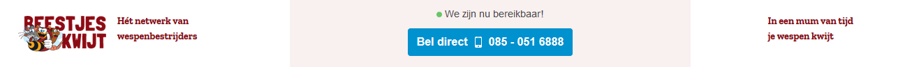 Eerste hulp bij een wespennest