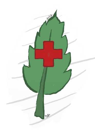0e633a7cdba387b239c1e1607adf82aa.png