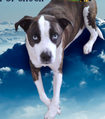 0ec343d6a531aade02fb1654421baf29.png