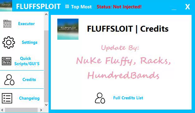 roblox cheat injector