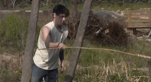11a1ff61061ec540603b92a74e27cb67.gif