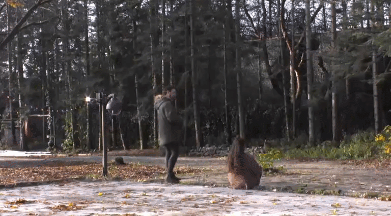 12300662226e70d85966d0ffcd0747ae.gif