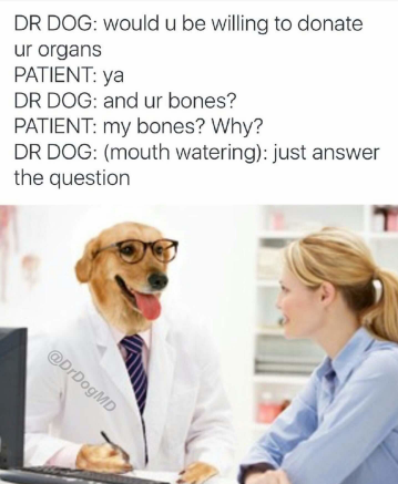 12552bbc0faddbeddef5f8b1c99b3b48.png