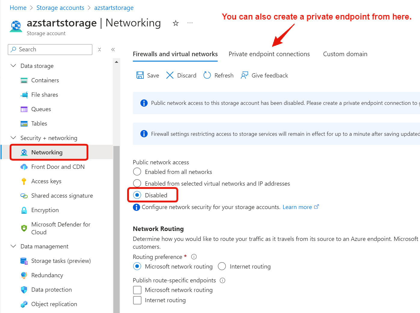 Disable public network access