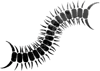 1256d22554cff52fbc1193087763a2bd.png
