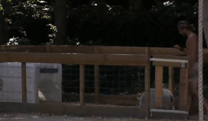129a1dae0d68c0733ab3543a35e08ba2.gif