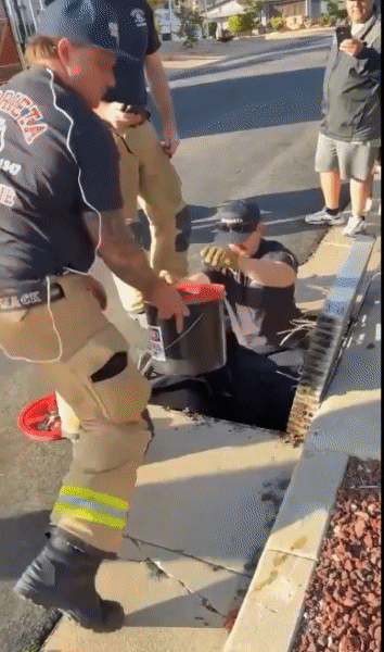 12c2287dab4b0794f81410f811da8018.gif