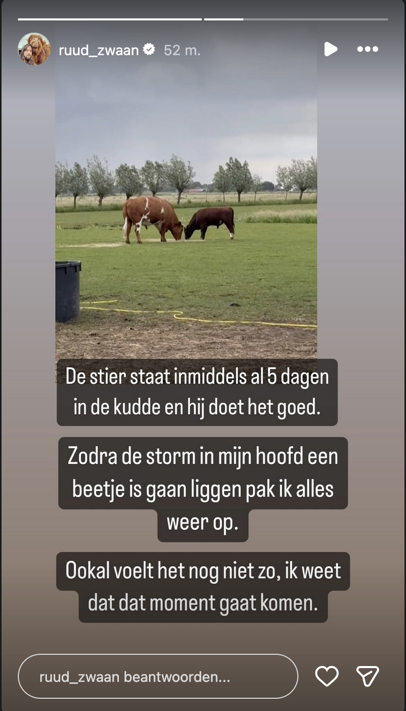 12ffe4887387c3cc4992ee59d16e46ee.png