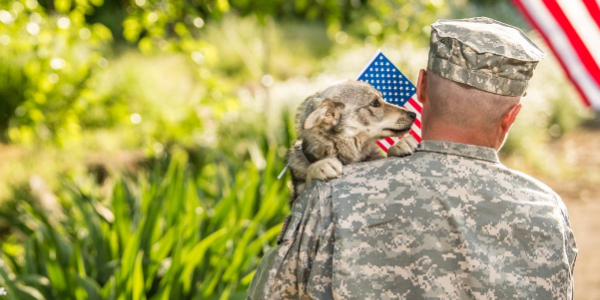 Look after or foster military family's pets