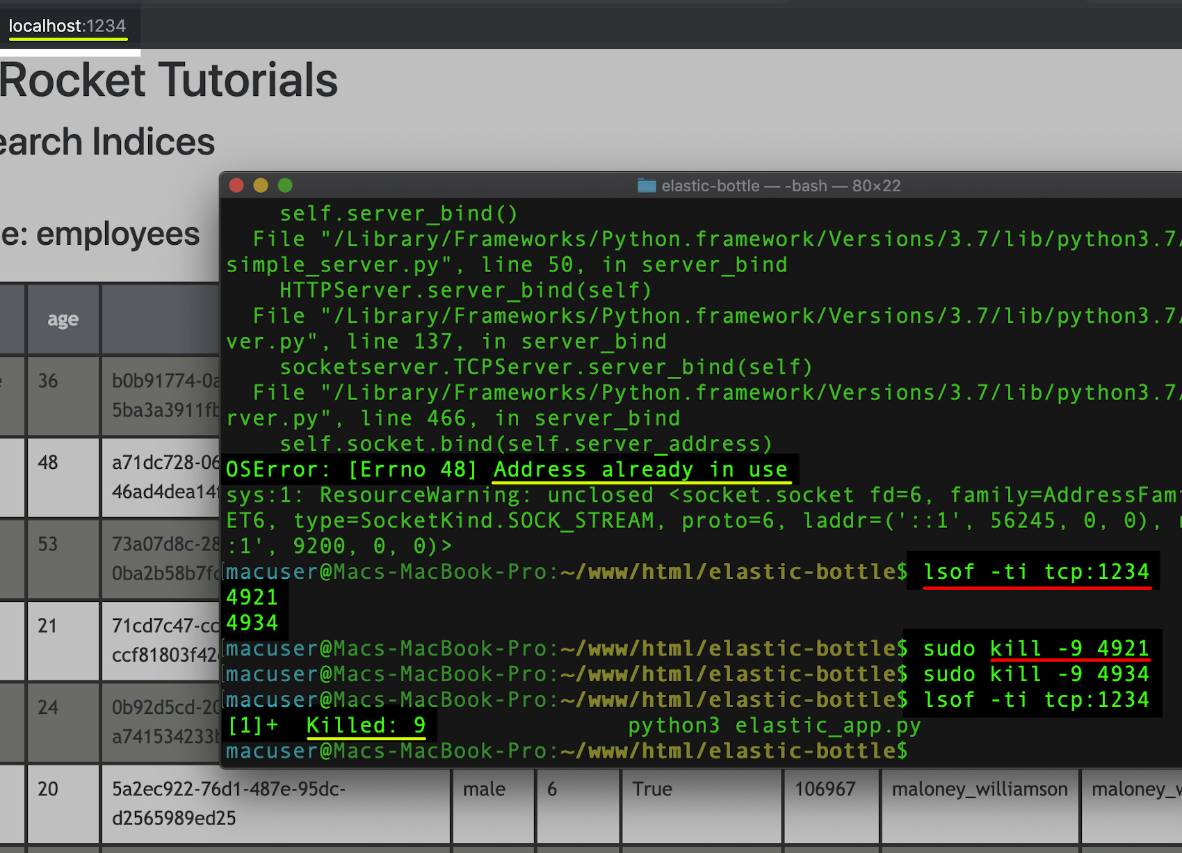 Screenshot of a UNIX terminal killing processes using the open port for the Elasticsearch web application