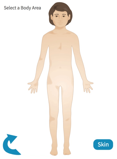 Child Homunculus