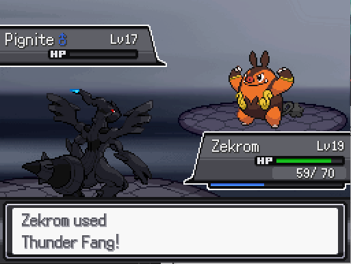 Olig on X: Shiny Zekrom after only 554 RAs in White✨   / X
